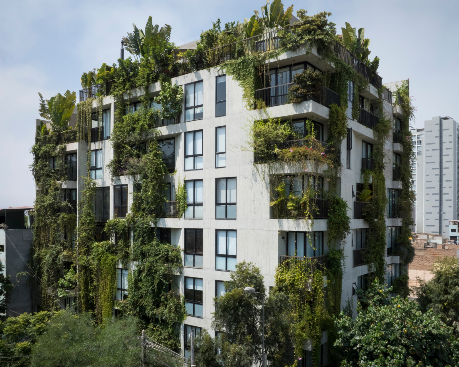 Un edificio que se siente vivo